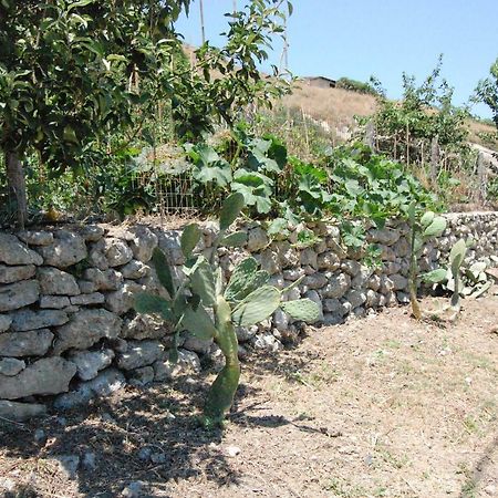 Old Winery House Villa Kolymbari Dış mekan fotoğraf