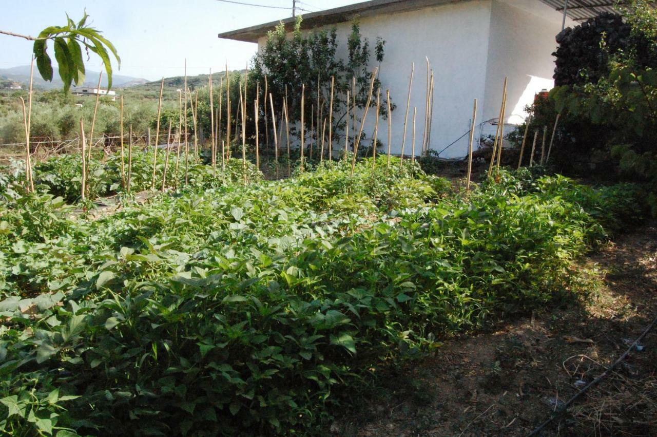 Old Winery House Villa Kolymbari Dış mekan fotoğraf