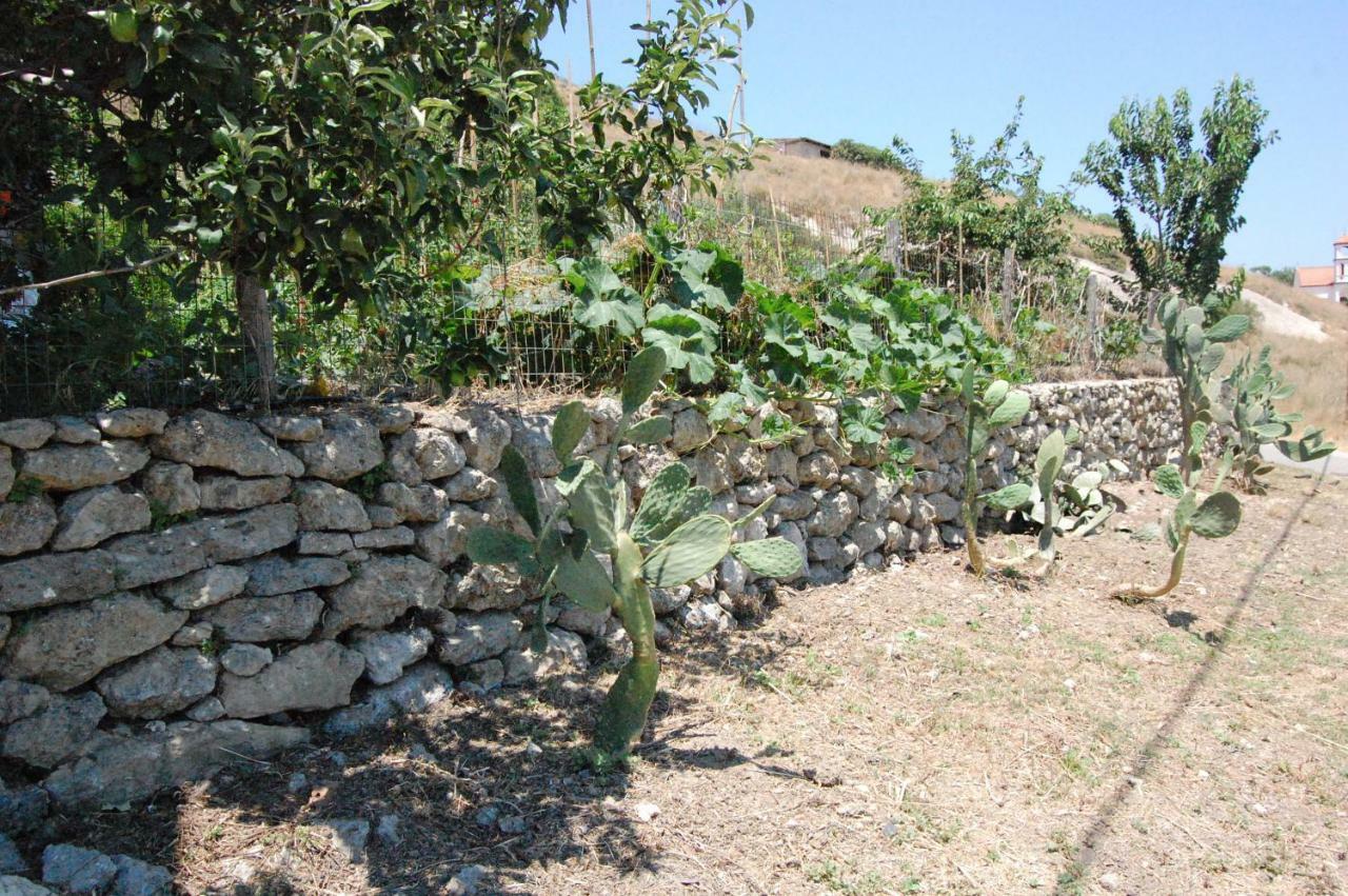 Old Winery House Villa Kolymbari Dış mekan fotoğraf