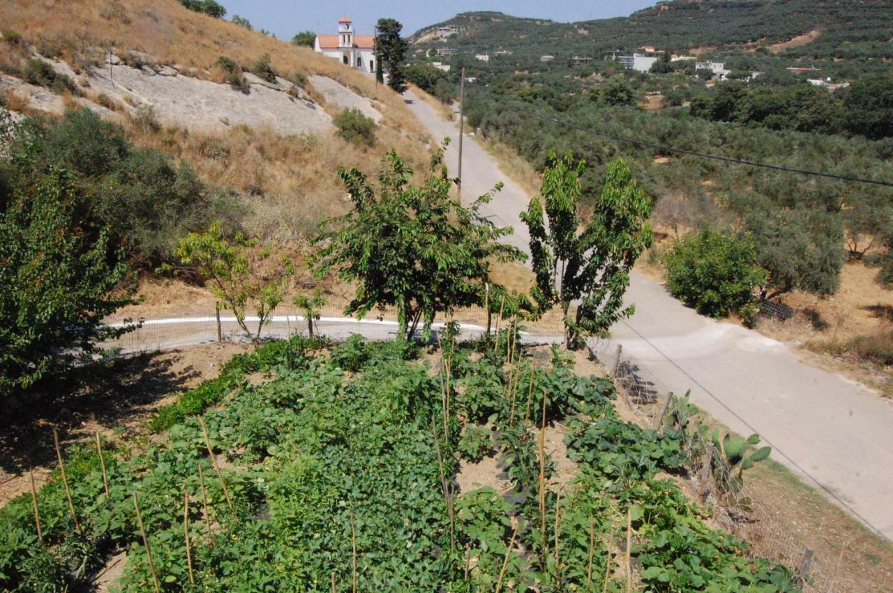 Old Winery House Villa Kolymbari Dış mekan fotoğraf